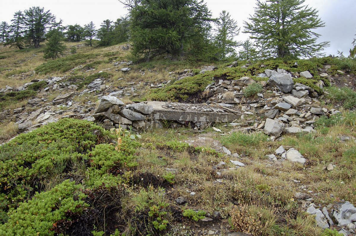 Ligne Maginot - VALLON CLAOUS - ABRUPT 3 - (Observatoire d'artillerie) - Reste de l’observatoire