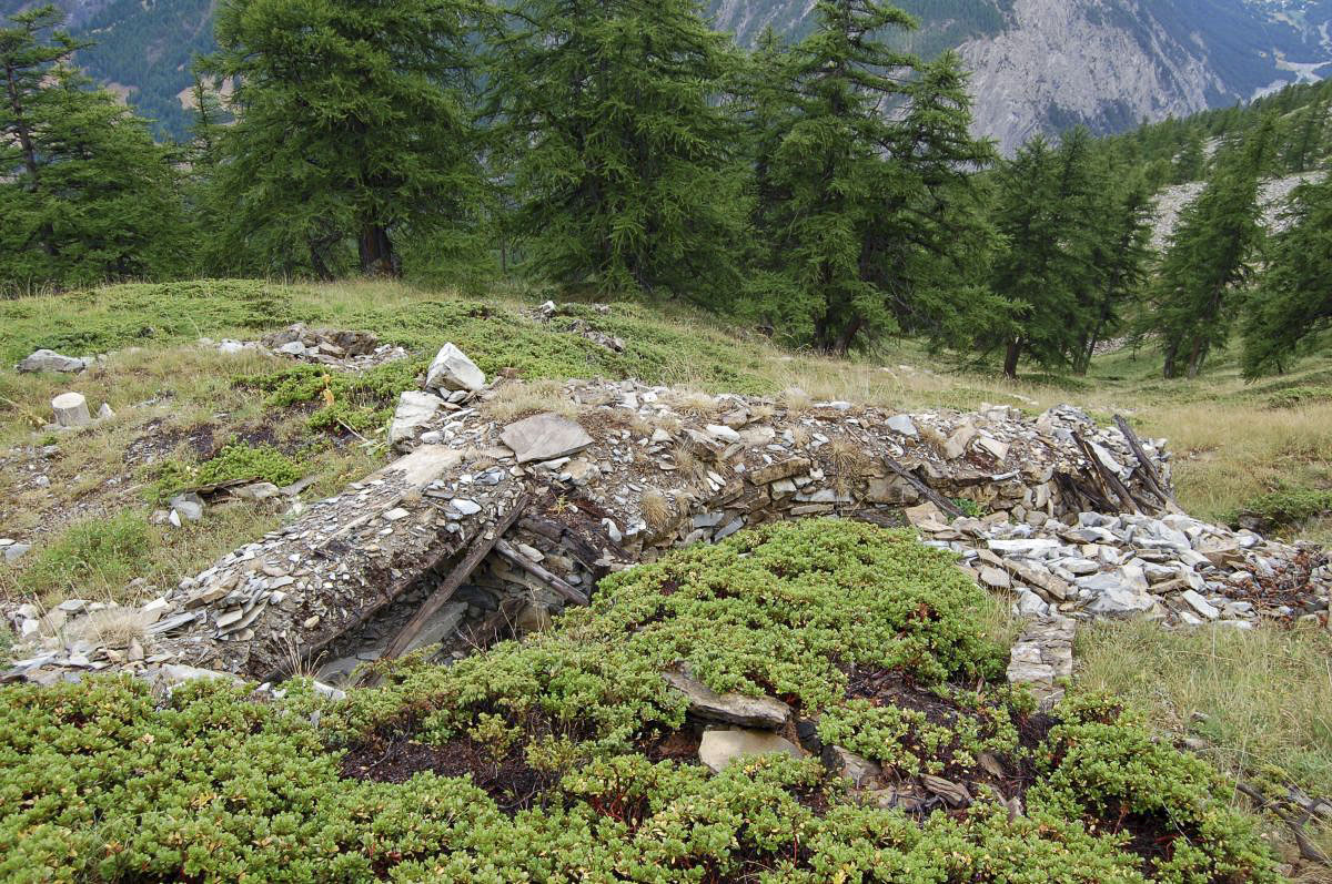 Ligne Maginot - VALLON CLAOUS - ABRUPT 3 - (Observatoire d'artillerie) - Reste de la tranchée de l’observatoire