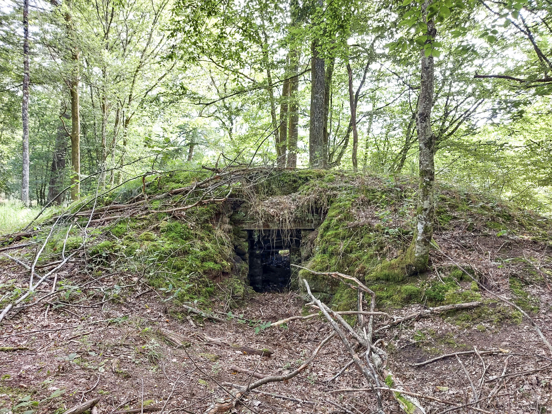 Ligne Maginot - GLASBRONN 1 - (Blockhaus pour arme infanterie) - L'entrée desservie par une tranchée