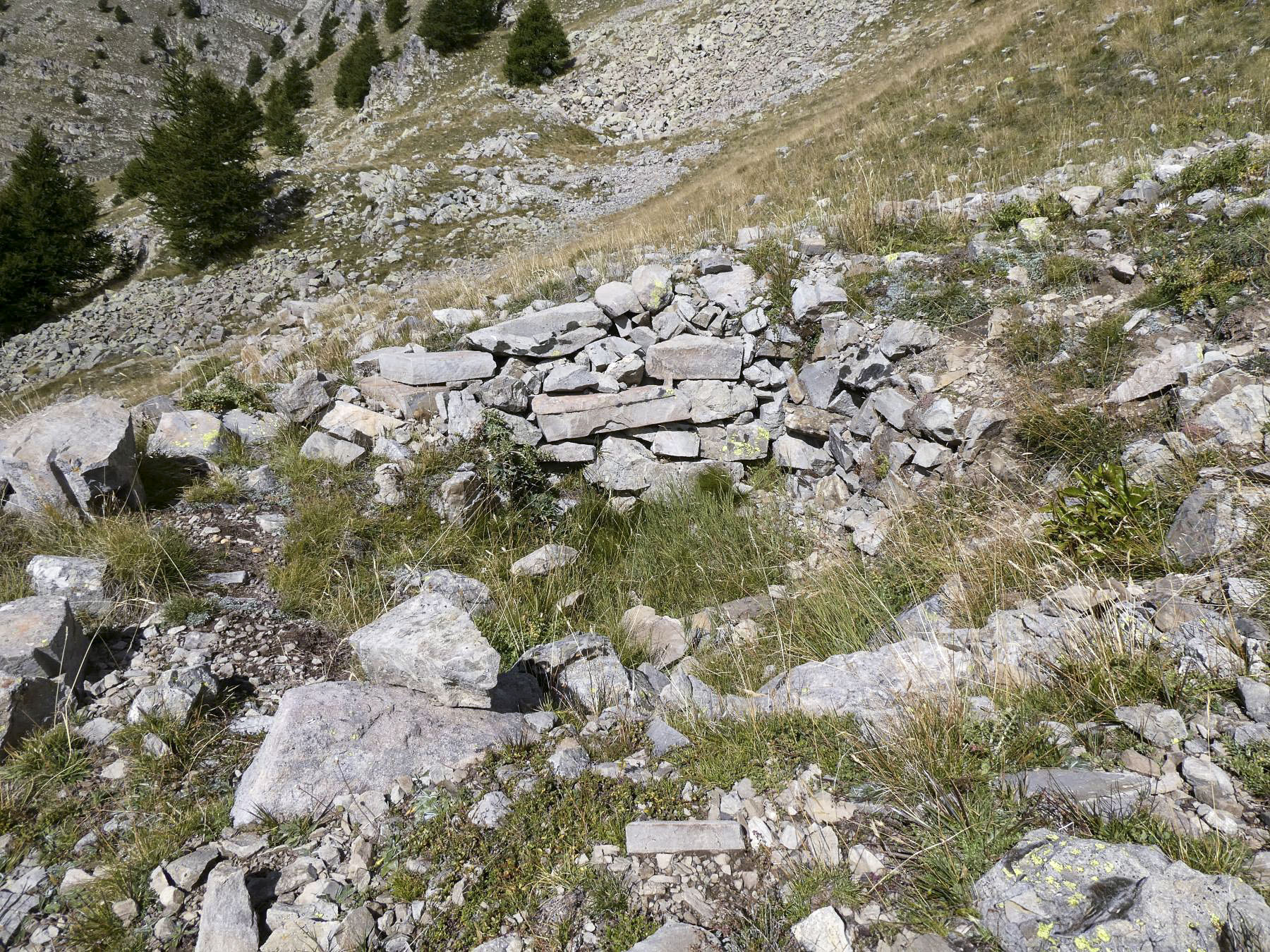 Ligne Maginot - CRÊTE DE LA BLANCHE 1 (POINT D'APPUI) - (Divers) - Cuve 1