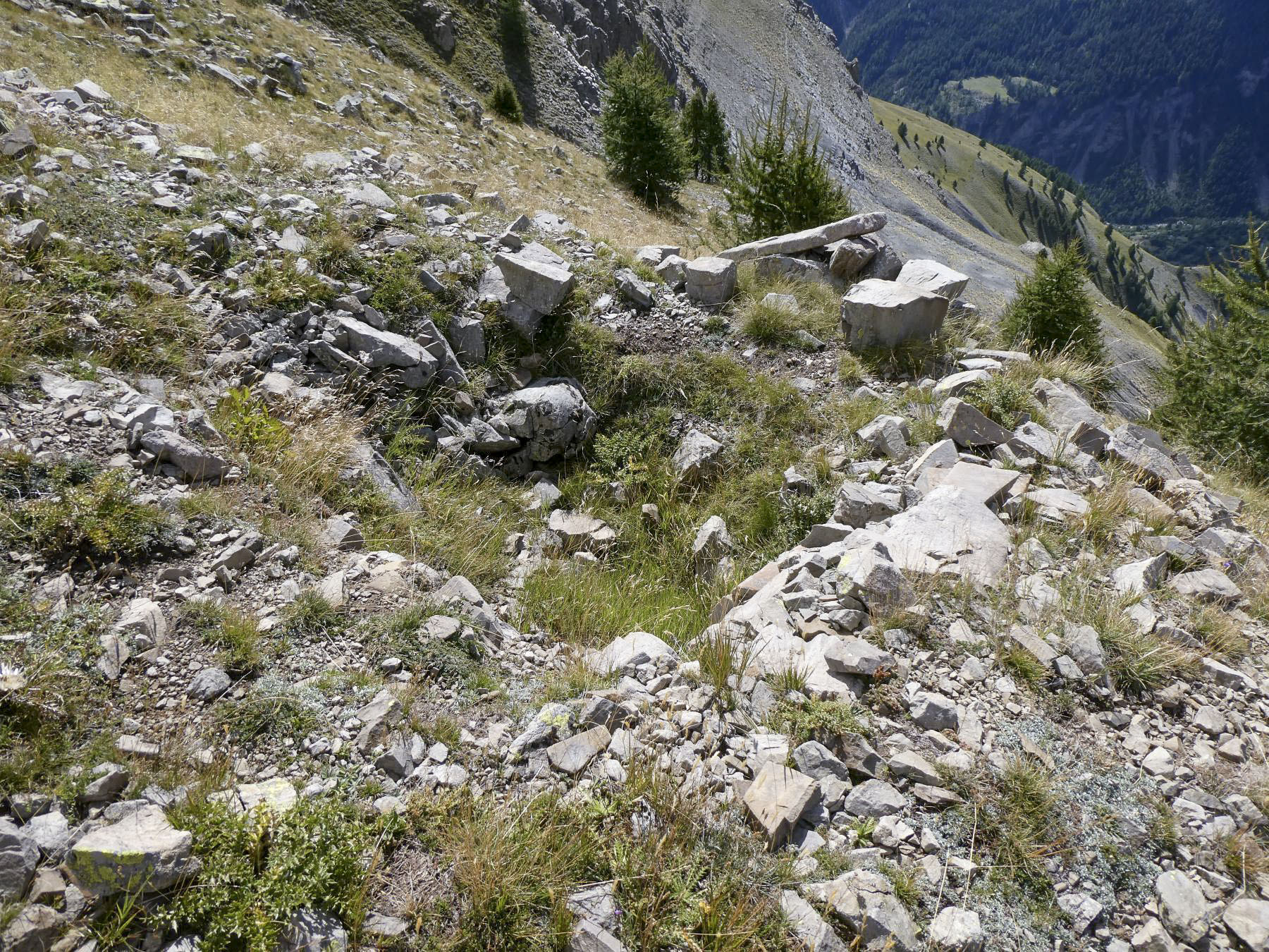 Ligne Maginot - CRÊTE DE LA BLANCHE 1 (POINT D'APPUI) - (Divers) - Cuve 1