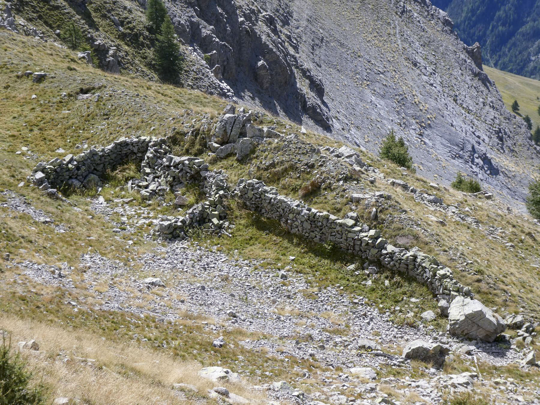 Ligne Maginot - CRÊTE DE LA BLANCHE 1 (POINT D'APPUI) - (Divers) - 