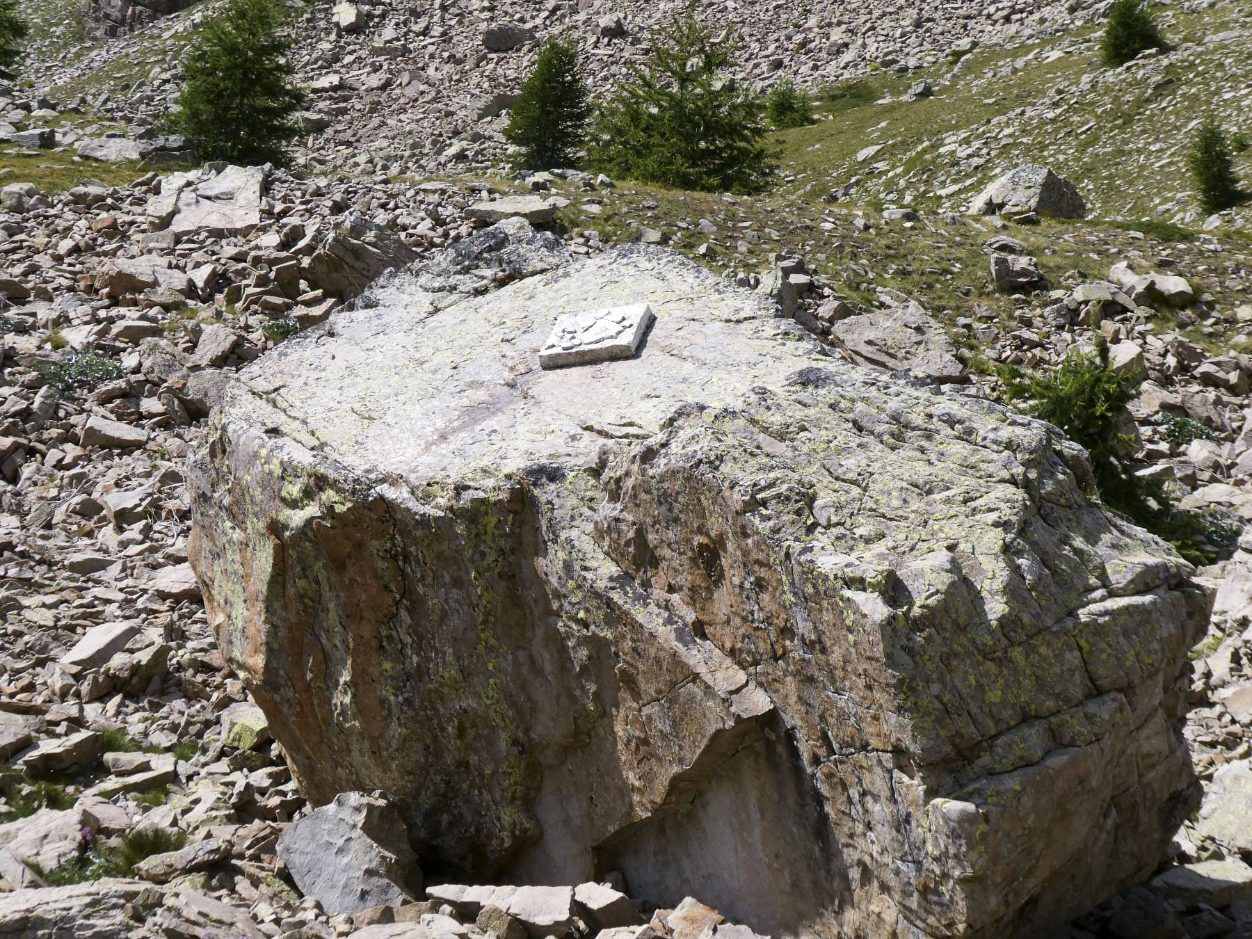 Ligne Maginot - SUD de RESTEFOND (1° Bie 93° RAM) - (Position d'artillerie préparée) - 