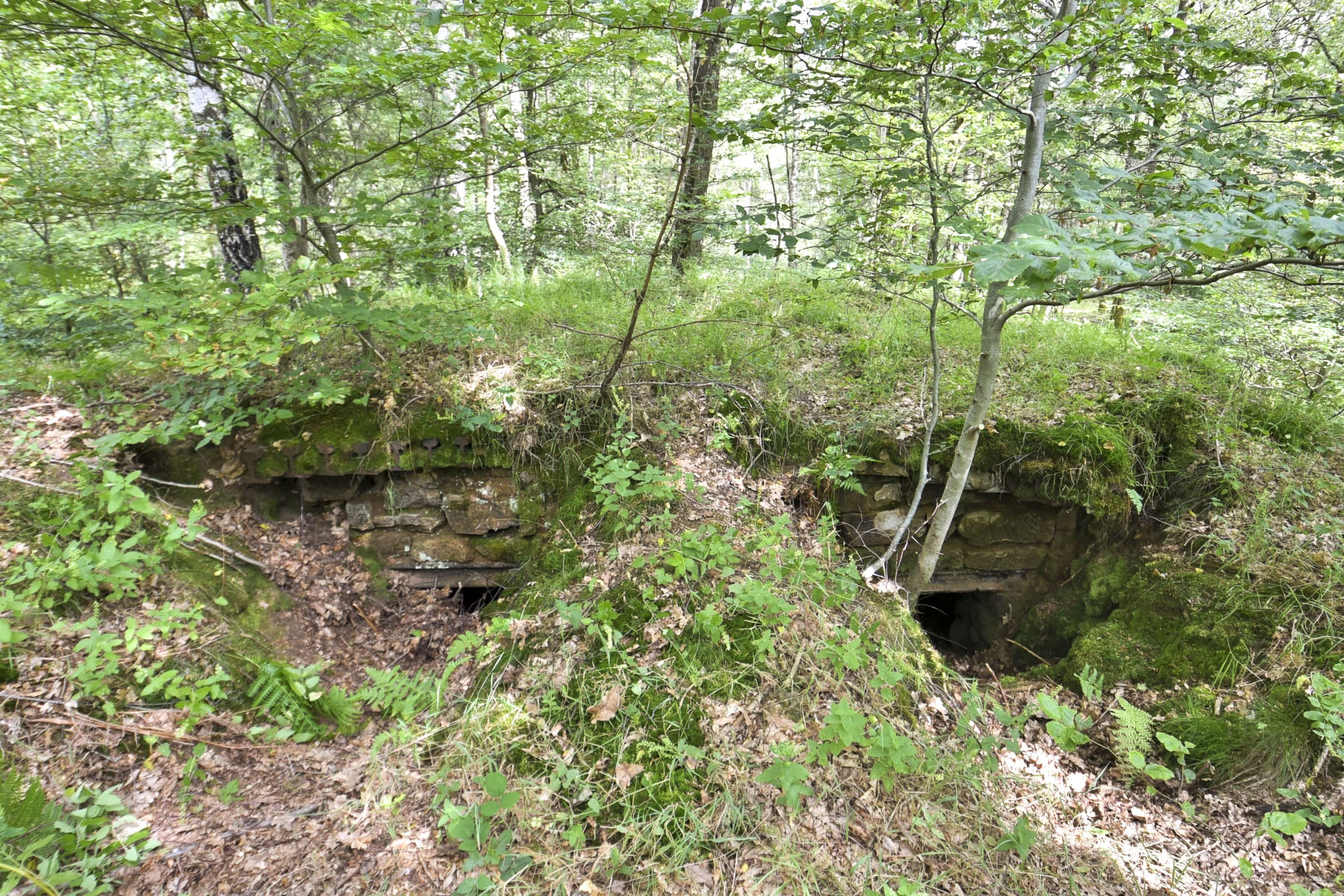 Ligne Maginot - GRAND WOLFSCHACHEN - (Observatoire d'artillerie) - 