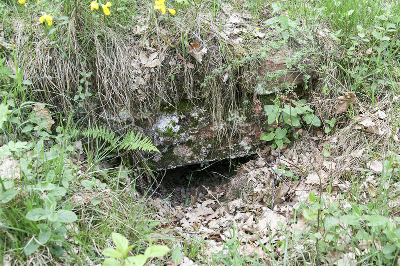 Ligne Maginot - GRAND WOLFSCHACHEN - (Observatoire d'artillerie) - Abri associé.