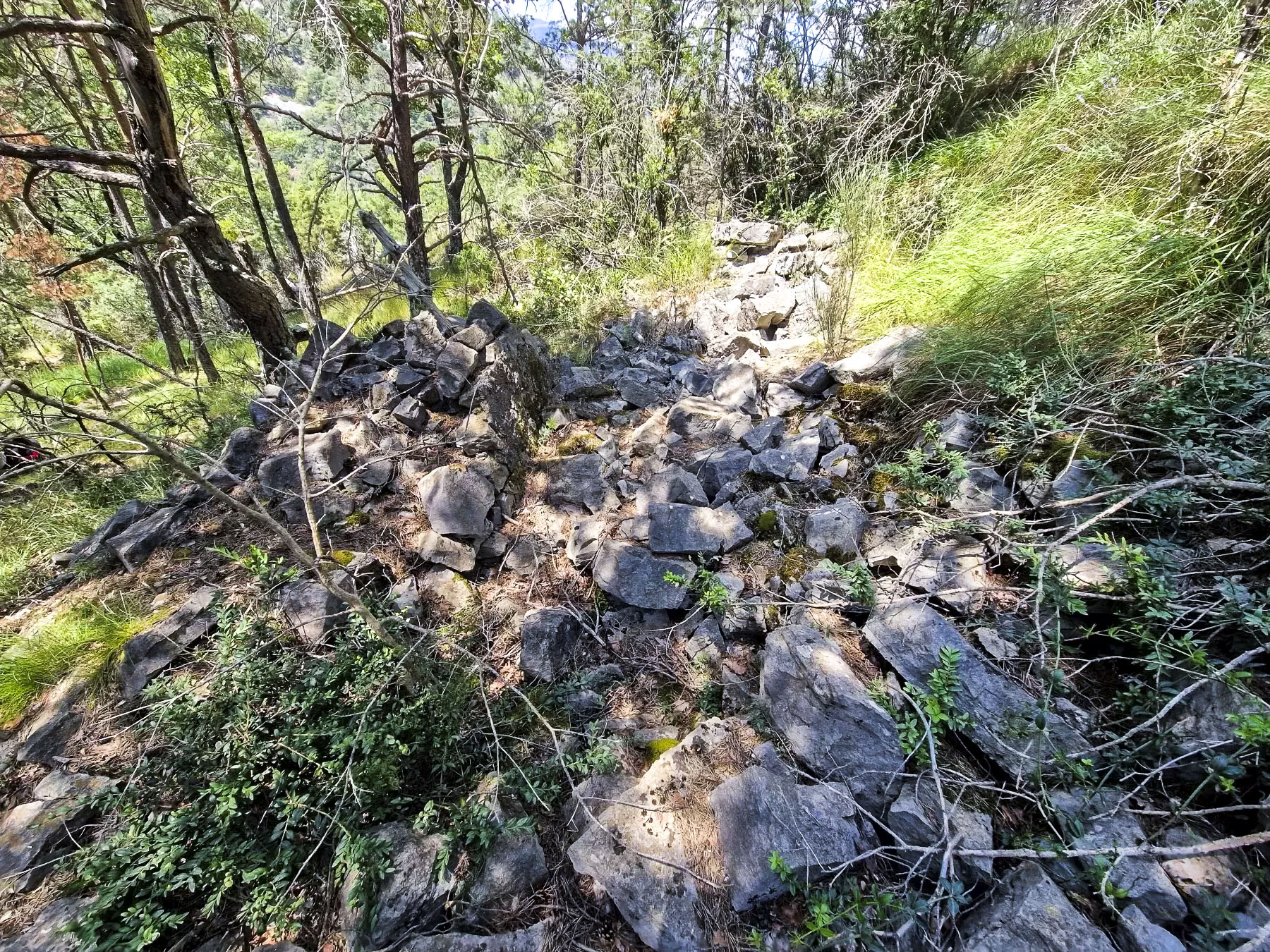 Ligne Maginot - COL D'IROUGNE - (Abri) - Restes de l'abri