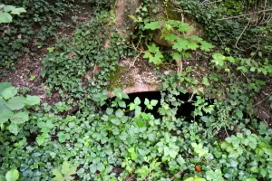 Ligne Maginot - FORT NEY - (Abri) - Vue de la partie extérieure