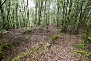 Ligne Maginot - PFAFFENBERG NORD - (Position d'artillerie préparée) - 