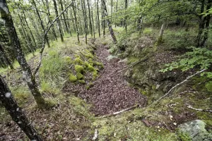 Ligne Maginot - PFAFFENBERG NORD - (Position d'artillerie préparée) - Une tranchée