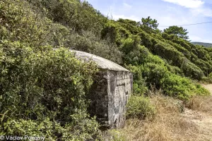 Ligne Maginot - CARDICCIA - (Blockhaus pour arme infanterie) - 