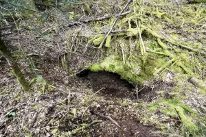 Ligne Maginot - KANDELBERG NORD - (Blockhaus pour arme infanterie) - 