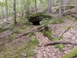 Ligne Maginot - FALKENBERG - COTE 263 (2°BON - 154°RIF) - (PC de Quartier) - Tranchée et petit abri sous roche