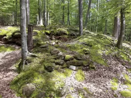 Ligne Maginot - FALKENBERG - COTE 263 (2°BON - 154°RIF) - (PC de Quartier) - Emplacement de deux abris 