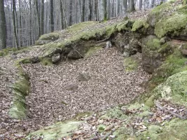 Ligne Maginot - FALKENBERG - COTE 263 (2°BON - 154°RIF) - (PC de Quartier) - Emplacement d'un abri