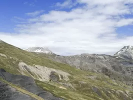 Ligne Maginot - COL DES TRENTE SOUCHES - (Divers) - Le Col de Pal