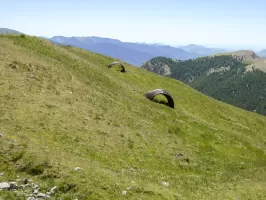 Ligne Maginot - MONTAGNE HAUTE - (Abri) - 