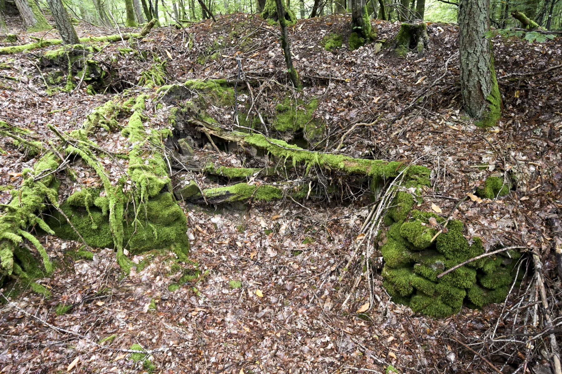 Ligne Maginot - PFAFFENBERG NORD - (Position d'artillerie préparée) - Un abri en ruine