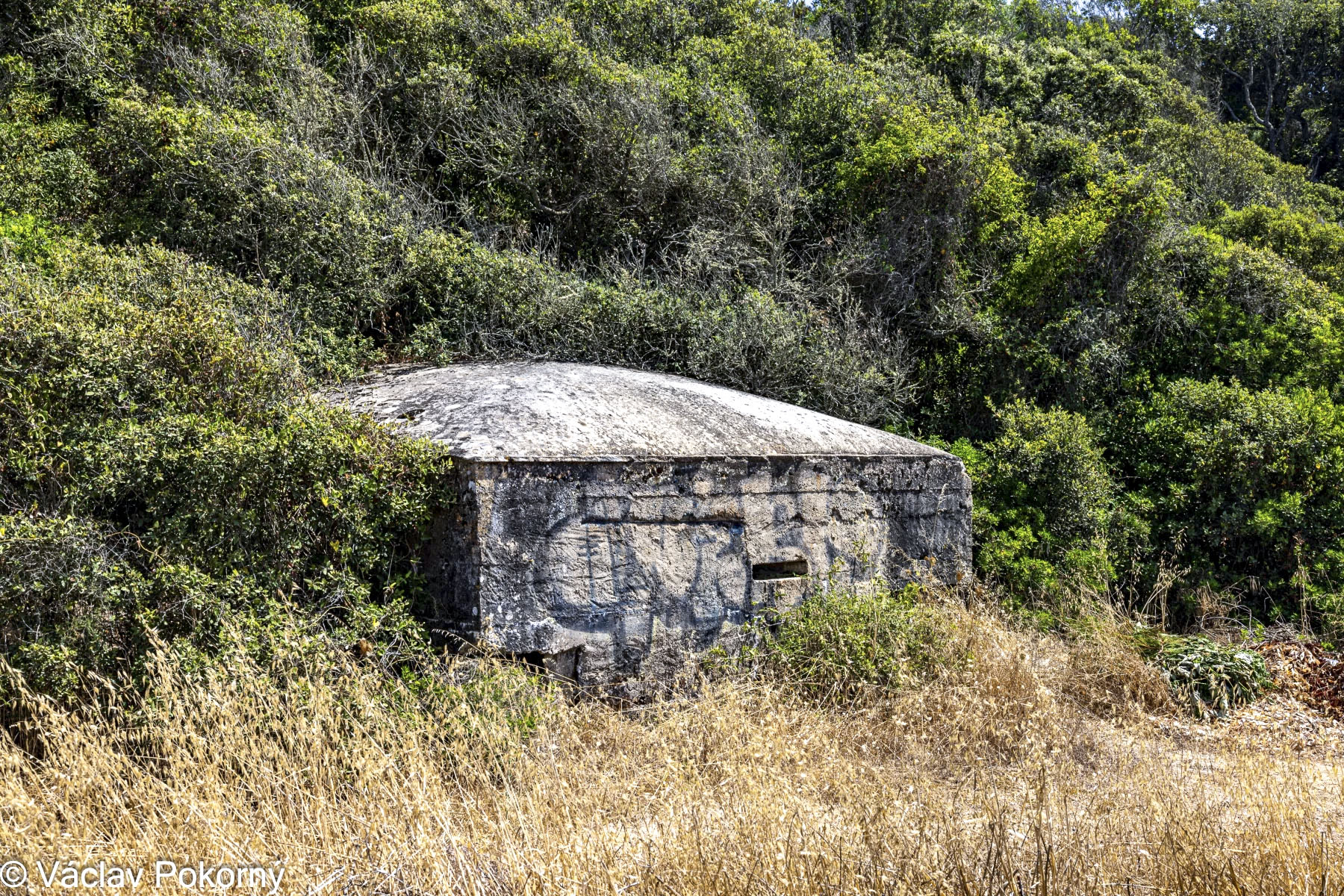 Ligne Maginot - CARDICCIA - (Blockhaus pour arme infanterie) - 