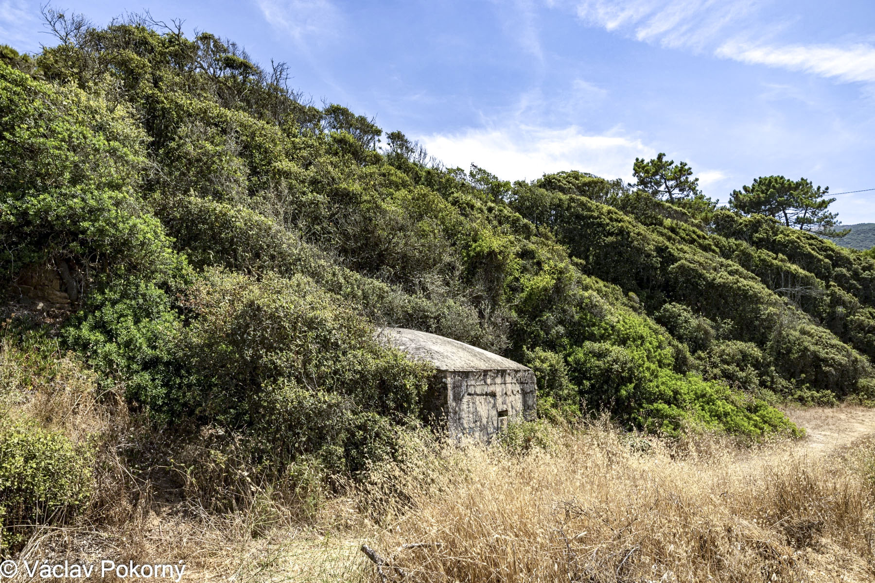 Ligne Maginot - CARDICCIA - (Blockhaus pour arme infanterie) - 