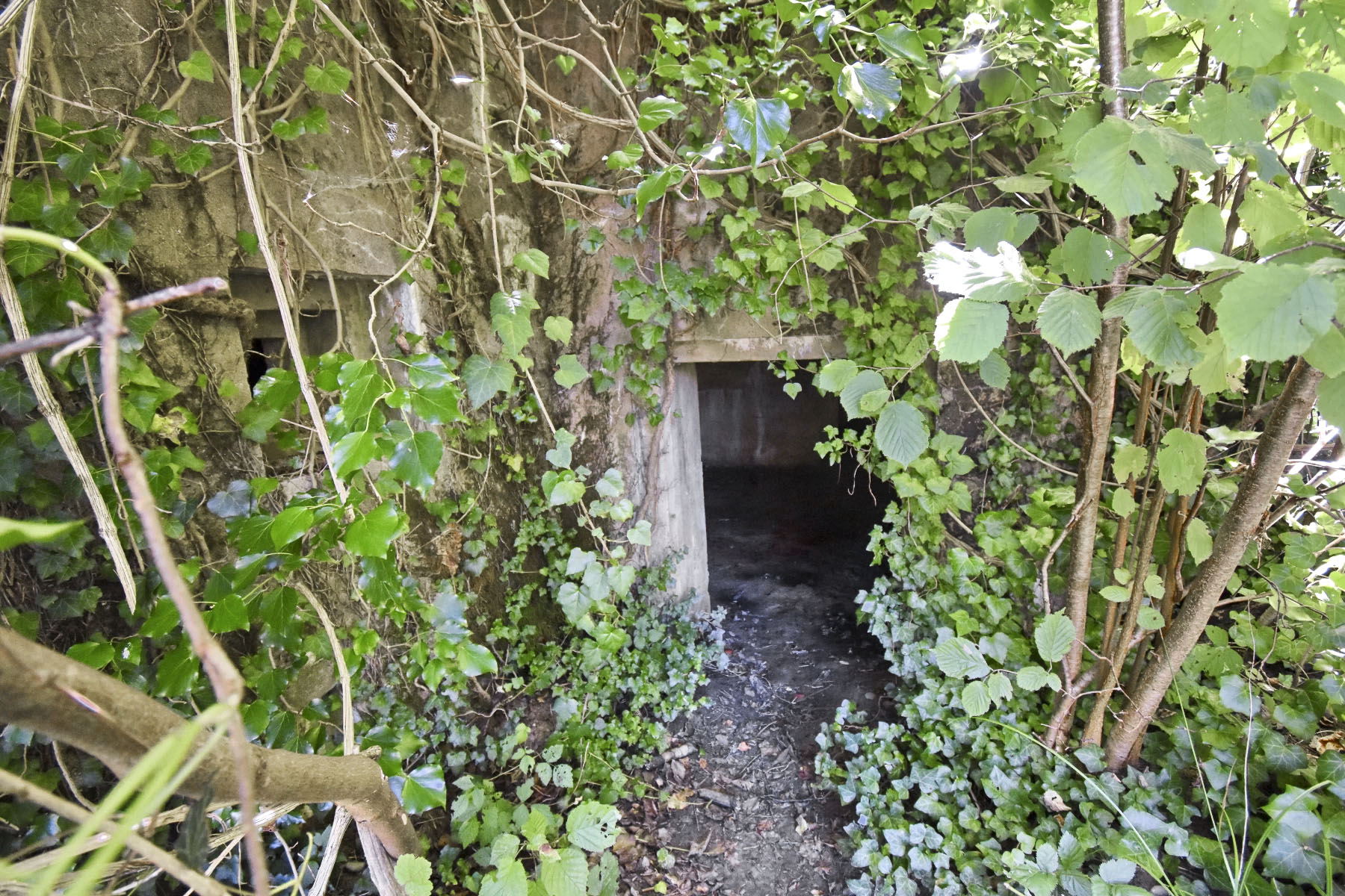 Ligne Maginot - BREITSAND CENTRE - (Abri) - Entrée