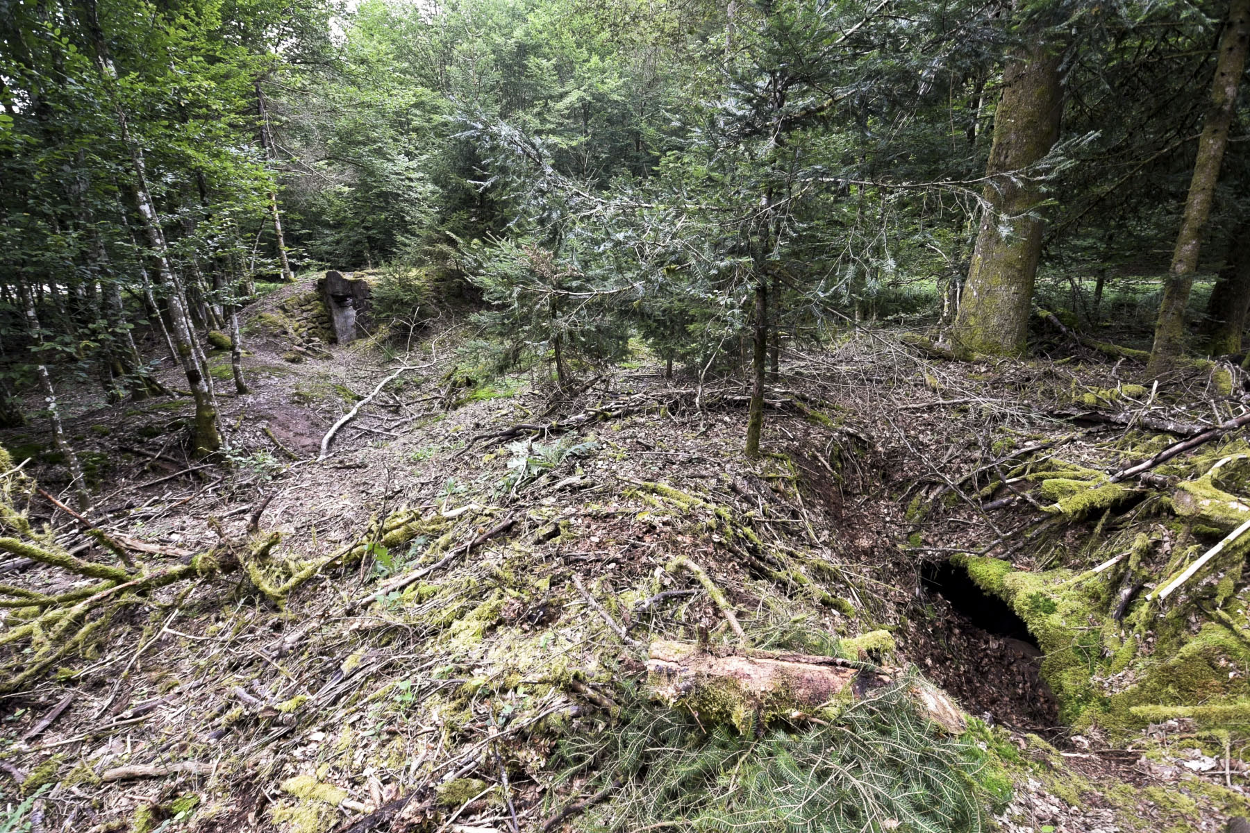 Ligne Maginot - KANDELBERG NORD - (Blockhaus pour arme infanterie) - L'abri à proximité