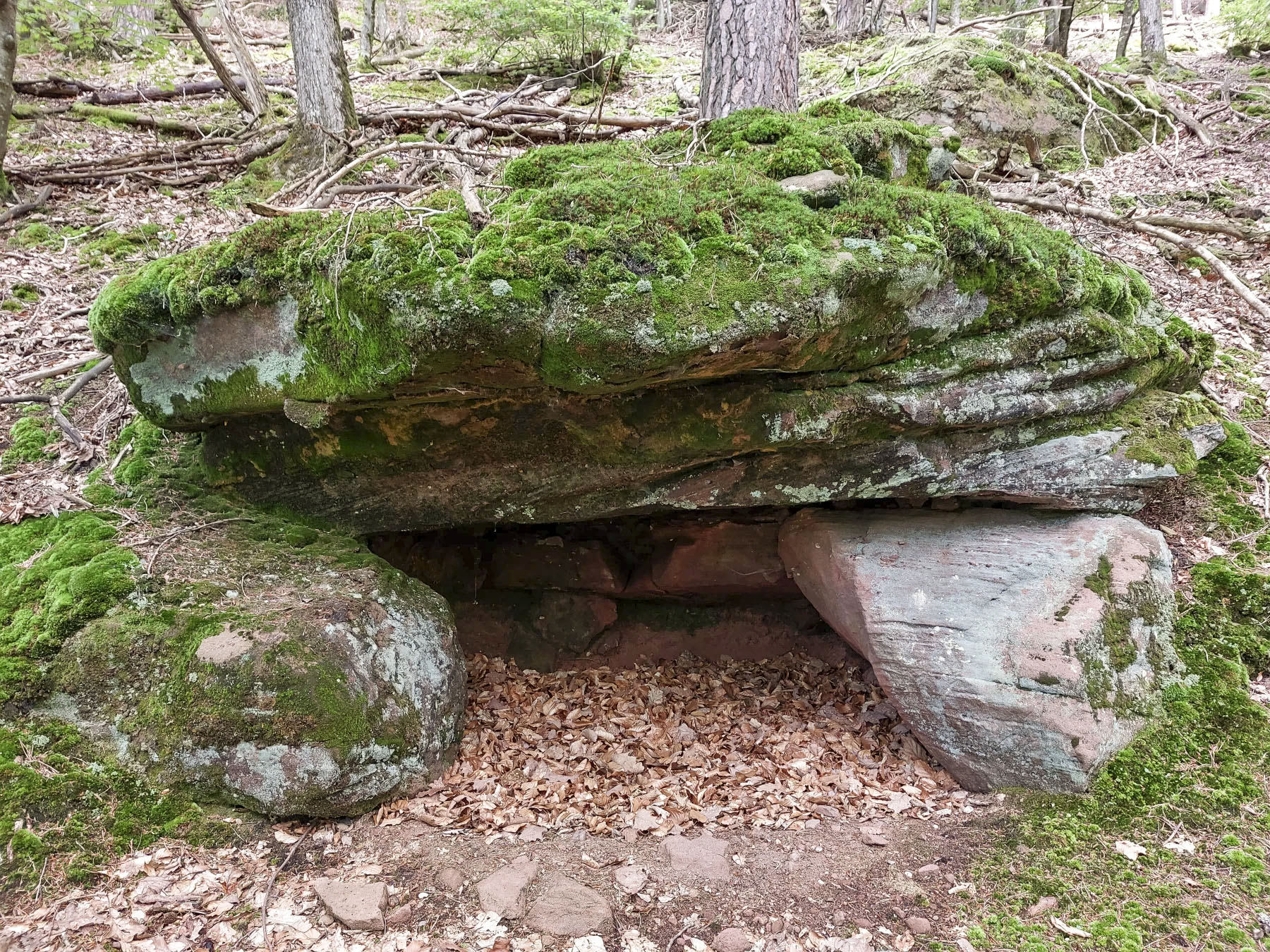 Ligne Maginot - FALKENBERG - COTE 263 (2°BON - 154°RIF) - (PC de Quartier) - Petit abri sous roche