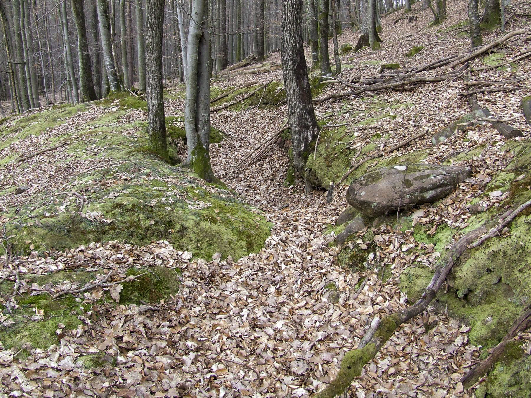 Ligne Maginot - FALKENBERG - COTE 263 (2°BON - 154°RIF) - (PC de Quartier) - Tranchée de circulation