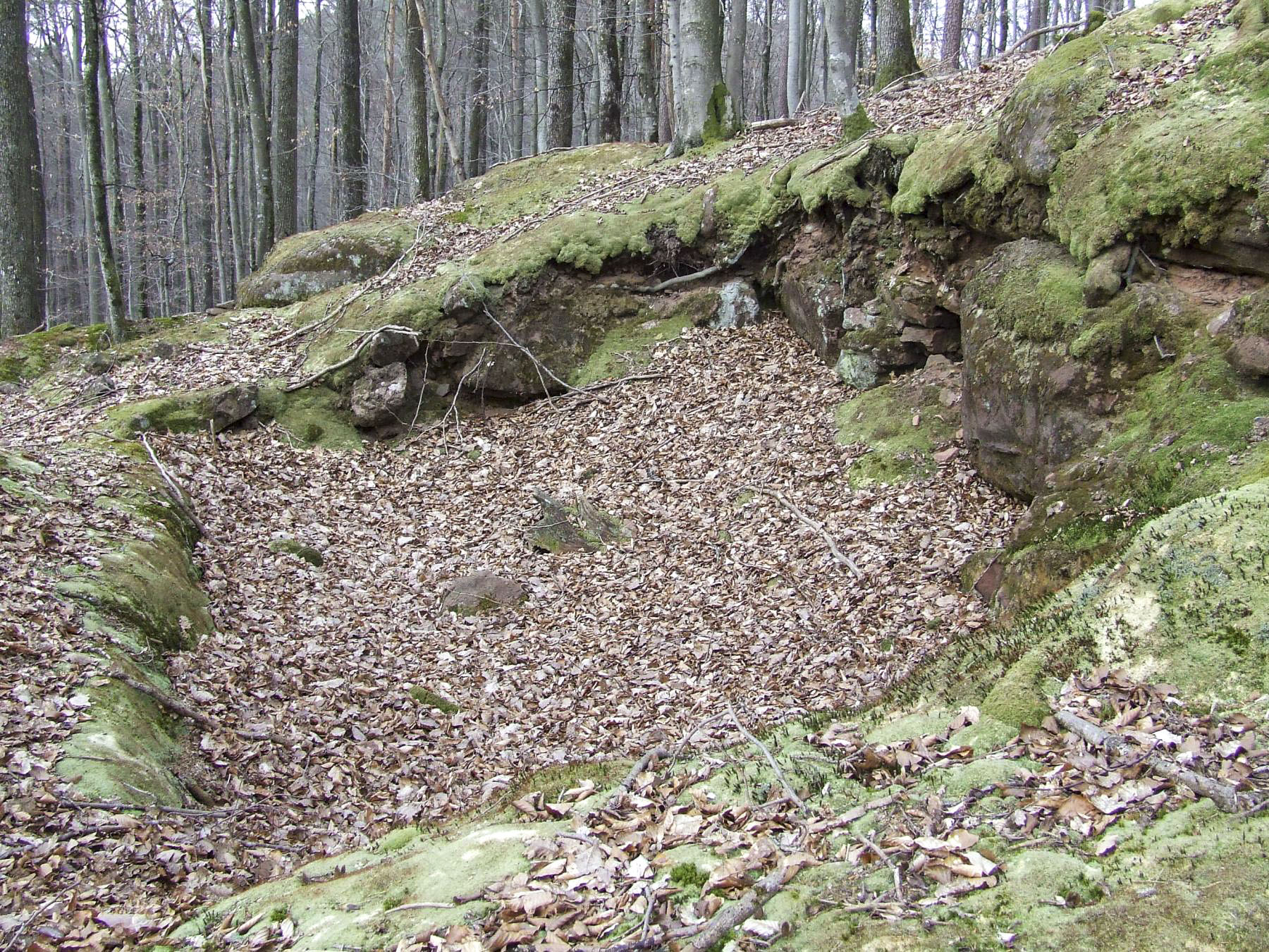 Ligne Maginot - FALKENBERG - COTE 263 (2°BON - 154°RIF) - (PC de Quartier) - Emplacement d'un abri