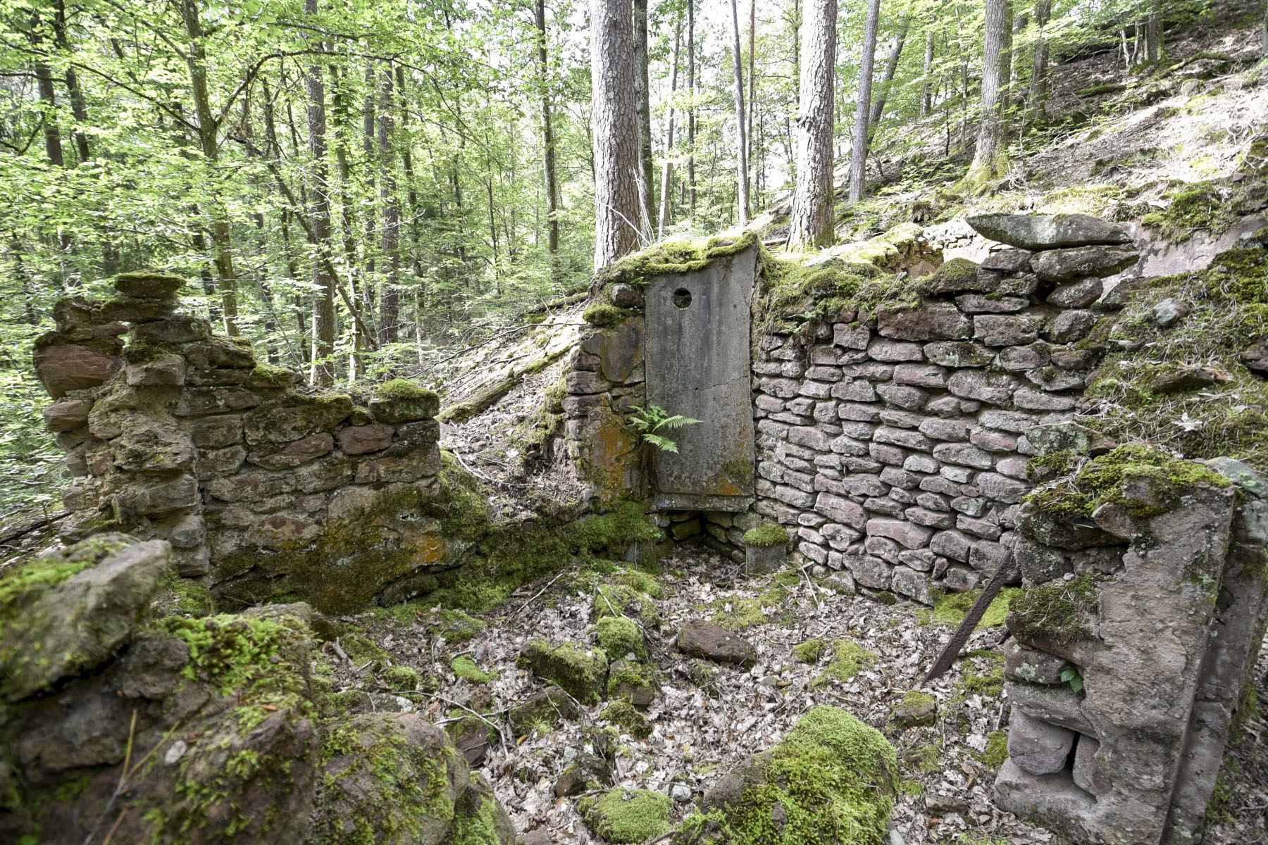 Ligne Maginot - KANDELBERG (QUARTIER BIESENBERG -1/154° RIF) - (PC de Quartier) - 