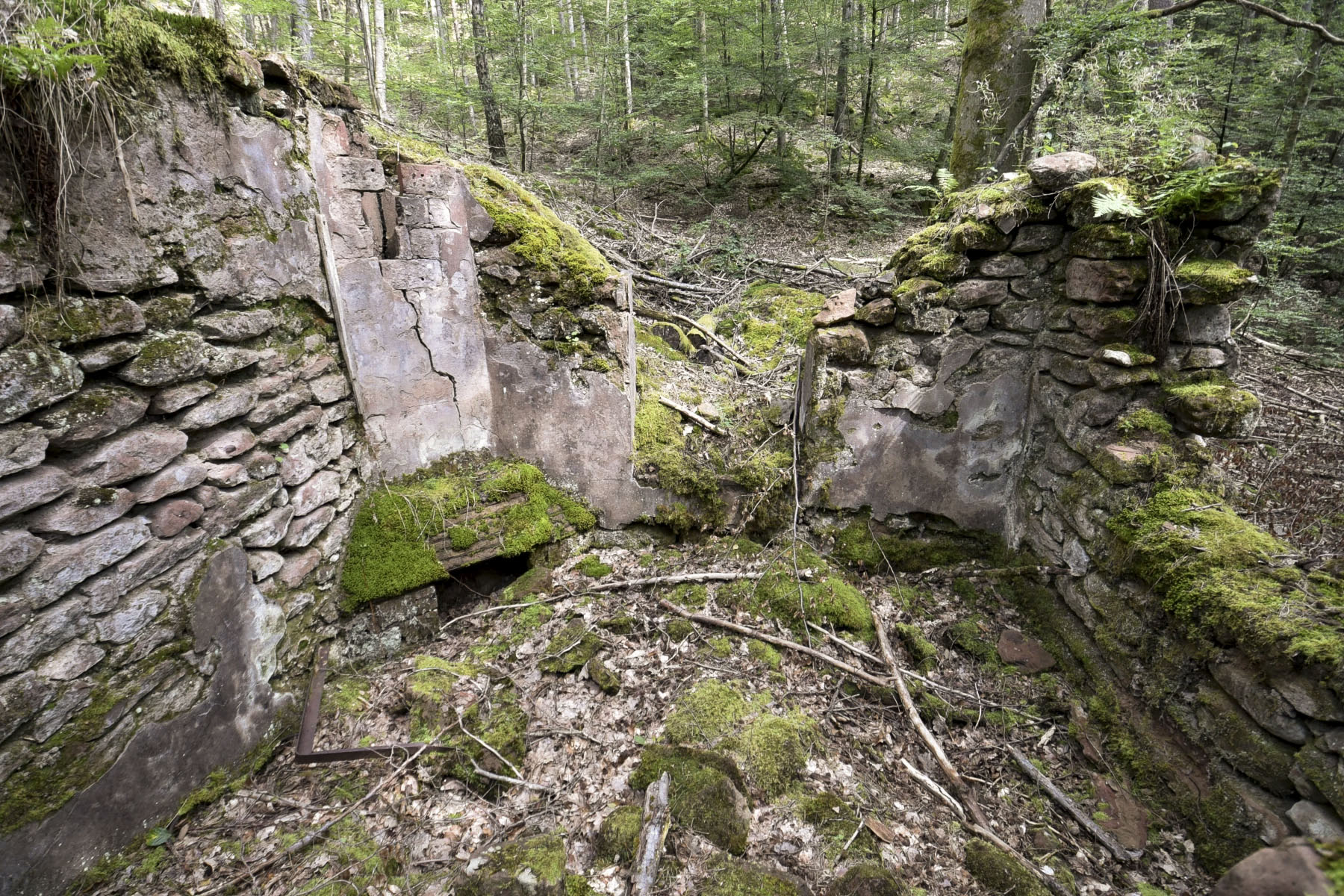 Ligne Maginot - KANDELBERG (QUARTIER BIESENBERG -1/154° RIF) - (PC de Quartier) - 