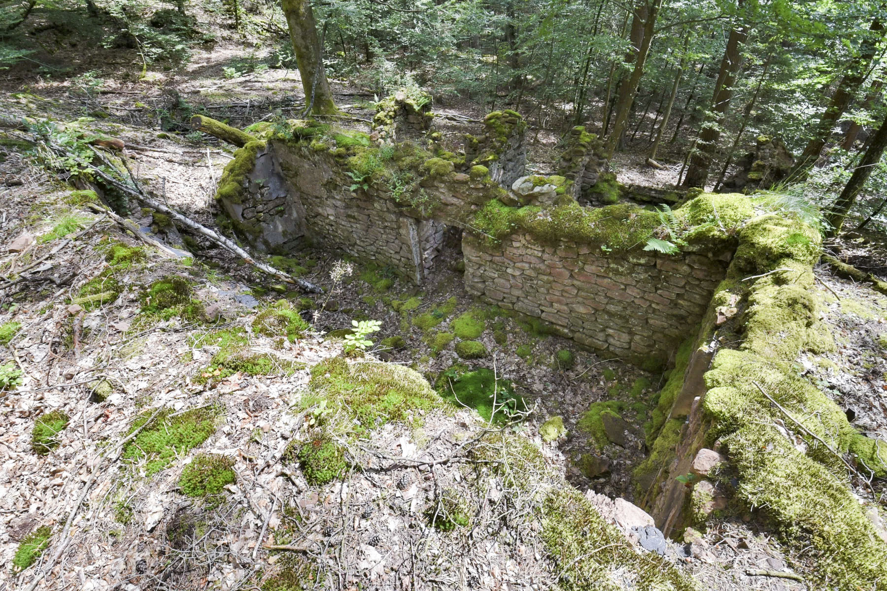 Ligne Maginot - KANDELBERG (QUARTIER BIESENBERG -1/154° RIF) - (PC de Quartier) - 