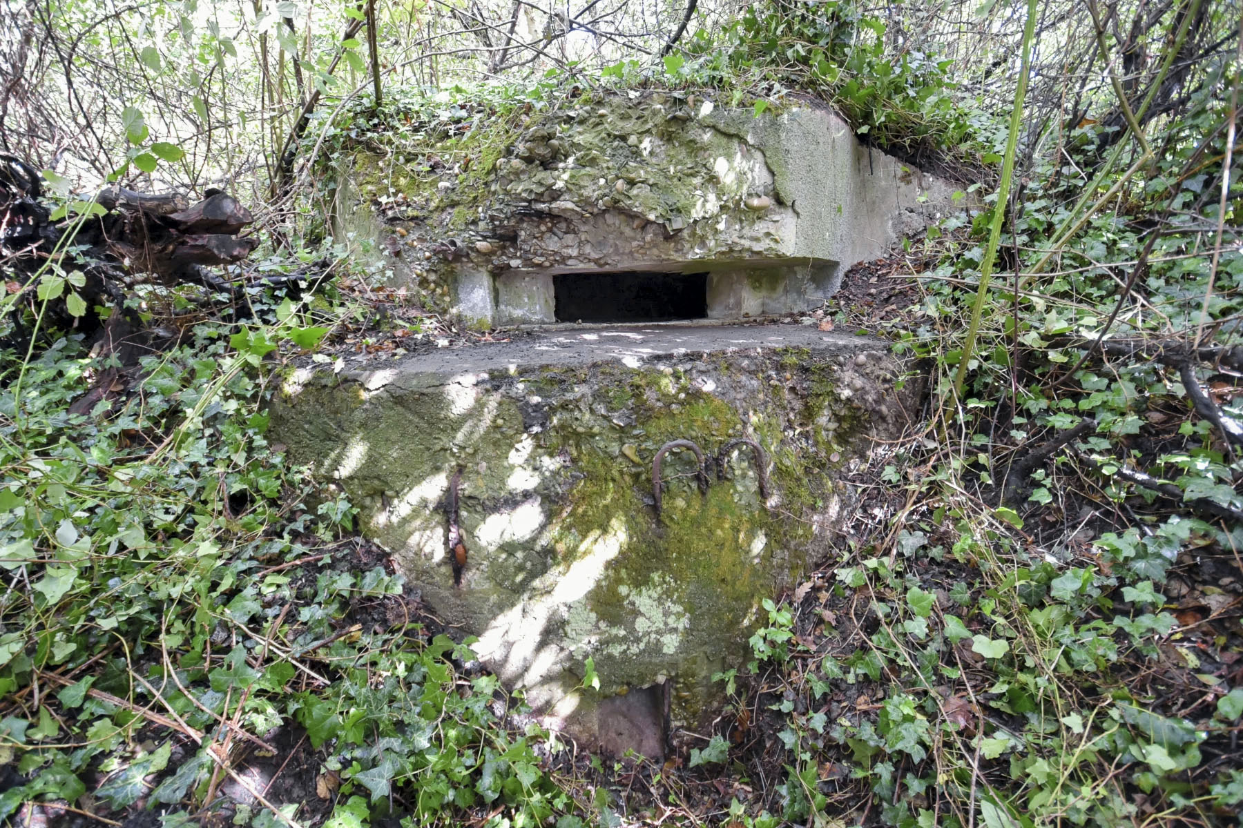 Ligne Maginot - OBERWALD SUD - (Blockhaus pour arme infanterie) - 