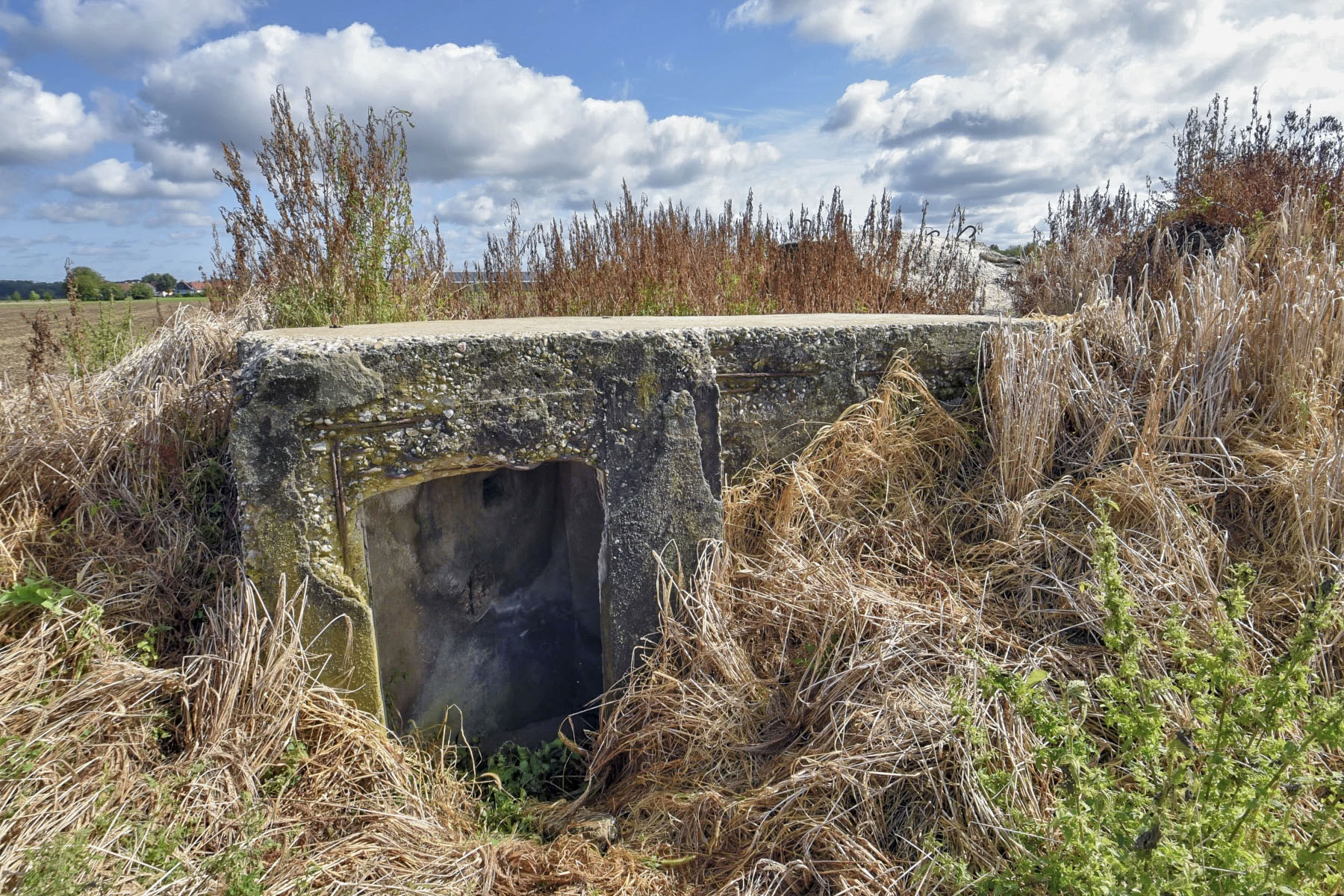 Ligne Maginot - RINKEL'S KUPP - (Blockhaus pour arme infanterie) - Entrée