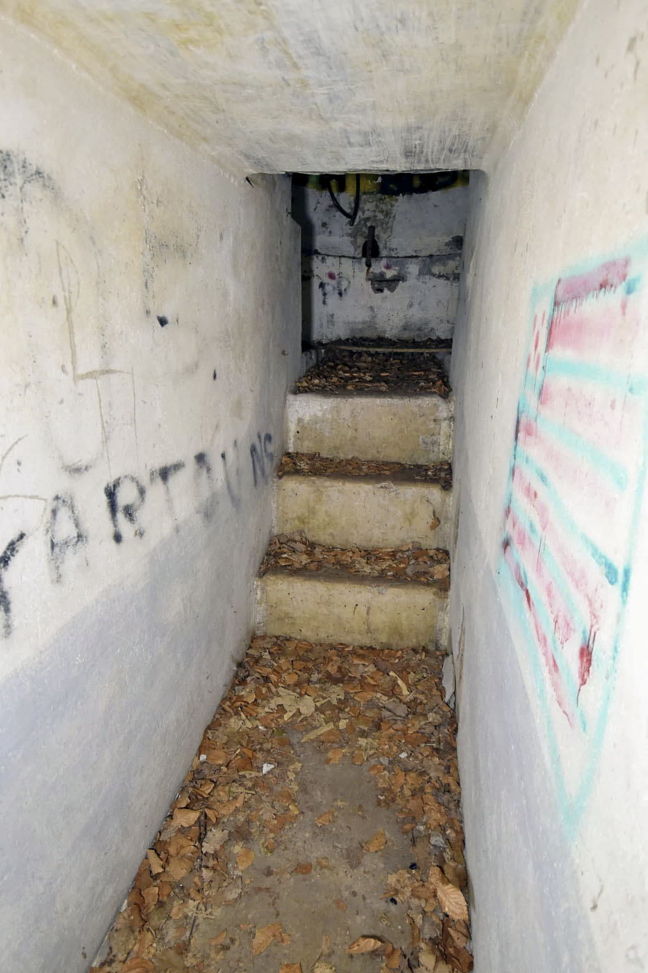 Ligne Maginot - CIMETIERE DE SOUFFLENHEIM 3 - (Blockhaus pour arme infanterie) - 