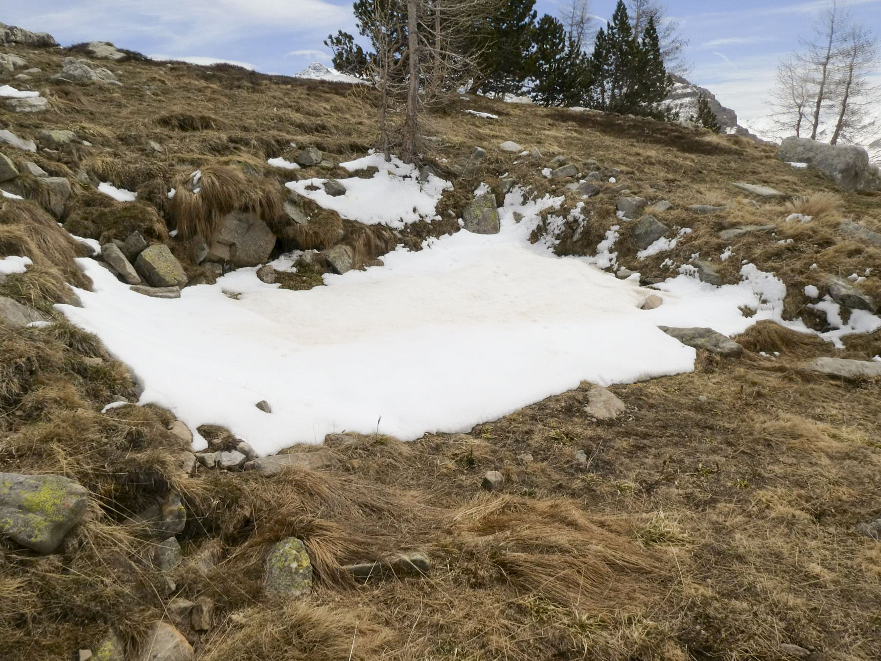 Ligne Maginot - COL DE LA CAYOLLE SUD - (Position d'artillerie préparée) - 