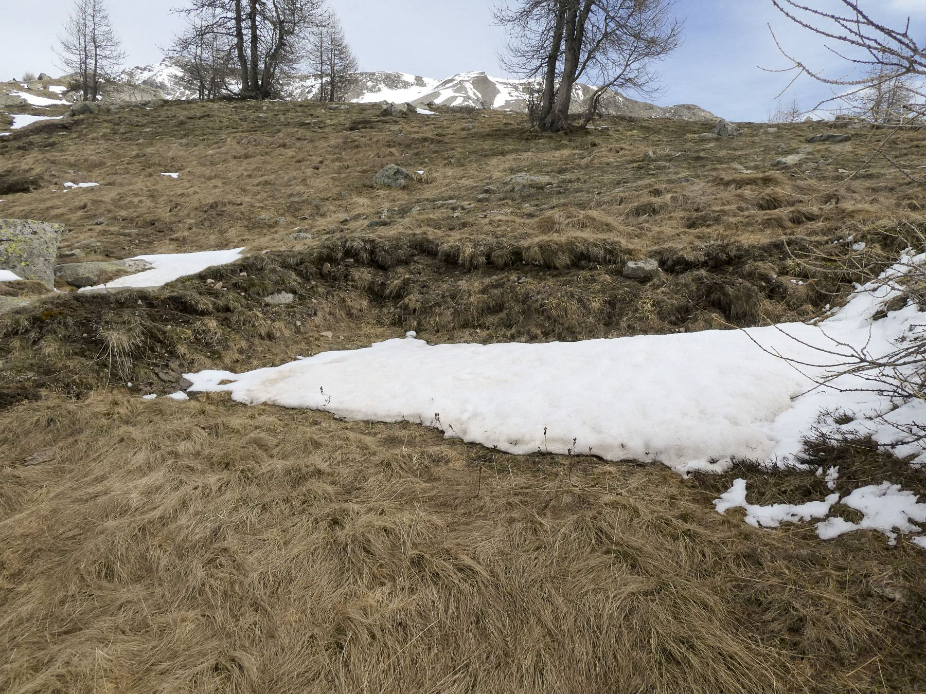 Ligne Maginot - COL DE LA CAYOLLE SUD - (Position d'artillerie préparée) - 