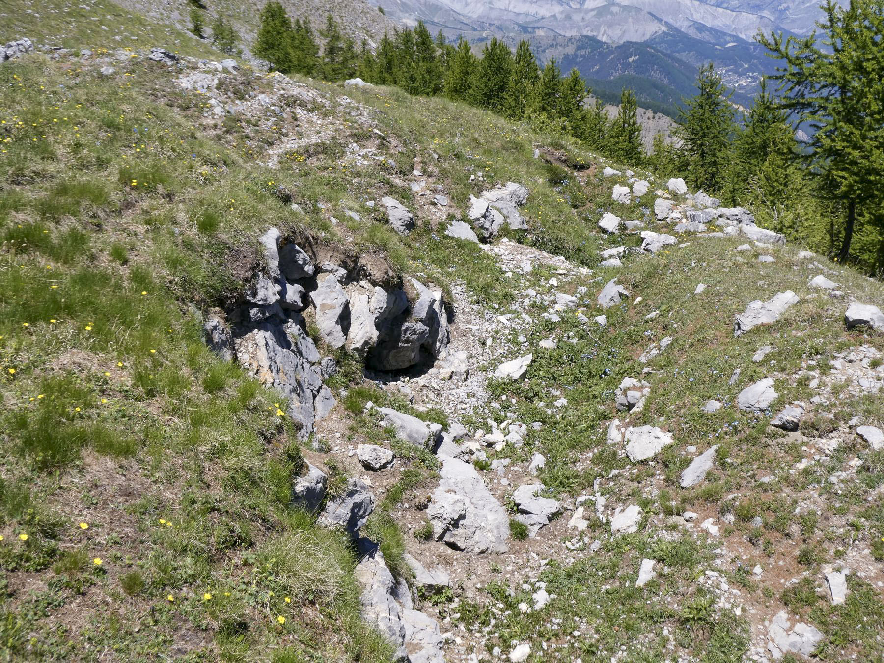 Ligne Maginot - MONTAGNE HAUTE - (Abri) - Restes de la position d'infanterie