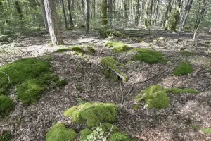 Ligne Maginot - GRAFENWEIHER - (Blockhaus pour arme infanterie) - 