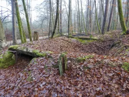 Ligne Maginot - GRAFENWEIHER 3 - (Blockhaus pour arme infanterie) - Les ruines de l'abri