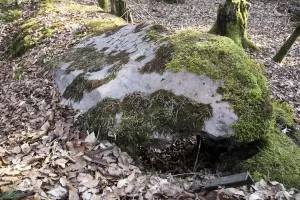 Ligne Maginot - GRAFENWEIHER 3 - (Blockhaus pour arme infanterie) - Inscription Sortie