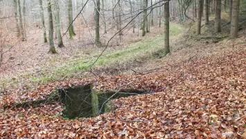 Ligne Maginot - SOUFFLENHEIM EST 1 et 2 - (Cuve pour arme d'infanterie) - Vue d'ensemble.
A l'avant la cuve Est 2, à l'arrière sous les sapins la cuve Est 1.