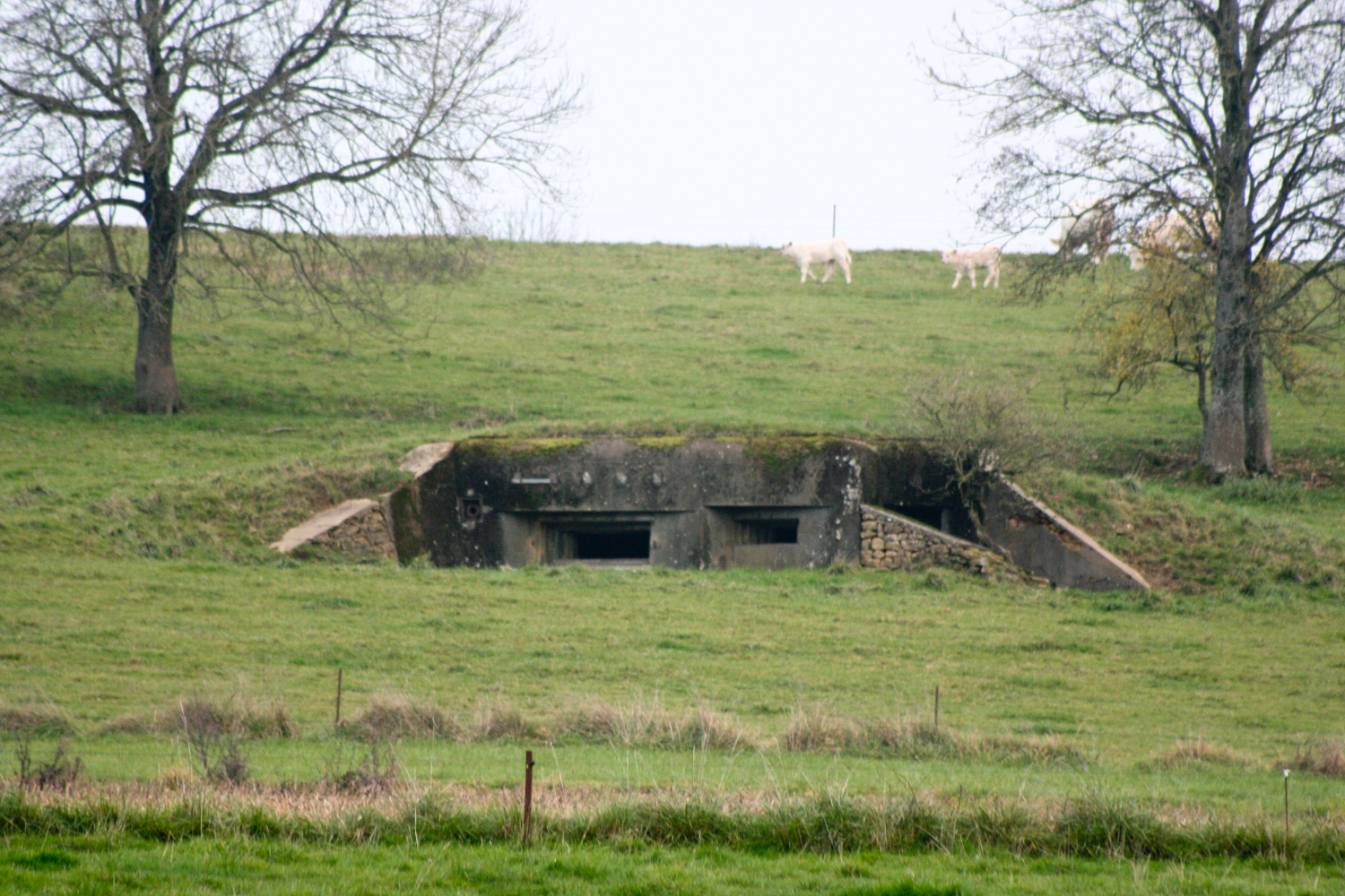 Ligne Maginot - MB16 - (Blockhaus pour canon) - 