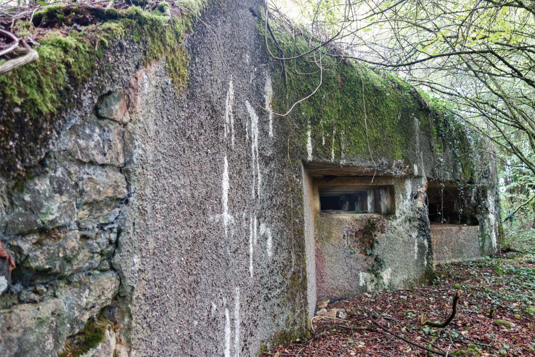 Ligne Maginot - 129 - L'EPINETTE - (Blockhaus pour canon) - 