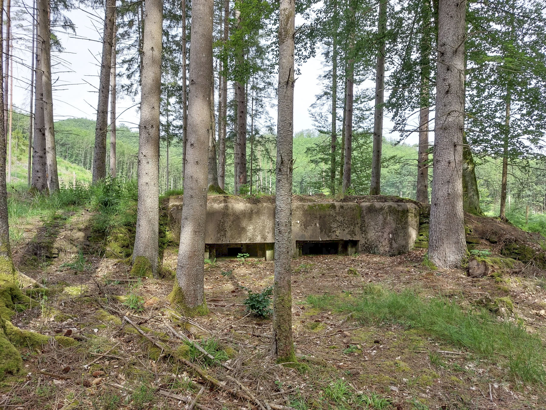 Ligne Maginot - ERBSENTHAL 1 - (Blockhaus pour arme infanterie) - Le blockhaus 