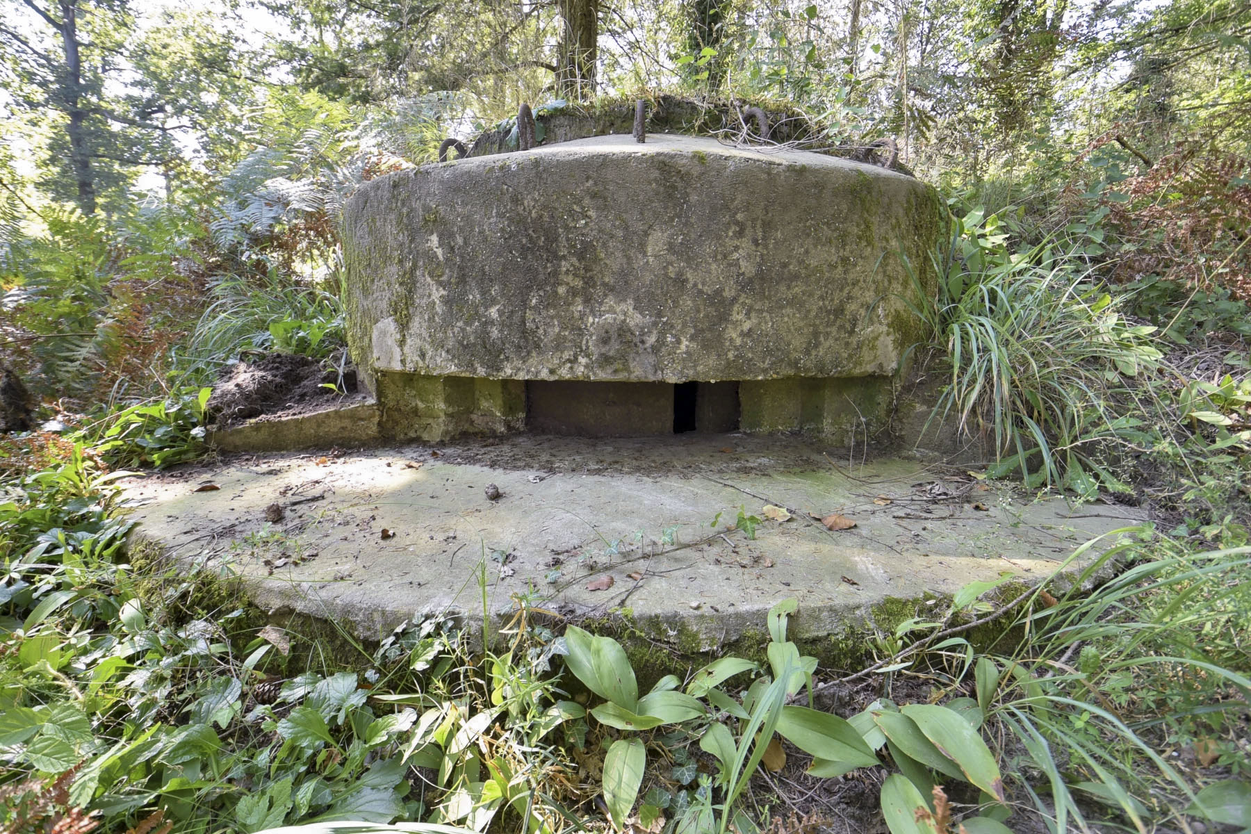 Ligne Maginot - MITTELWEG 1 - (Blockhaus pour arme infanterie) - Après nettoyage