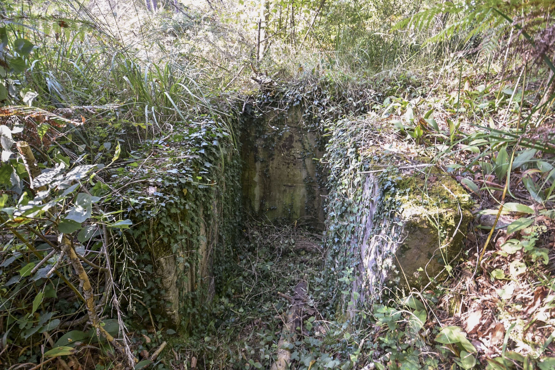 Ligne Maginot - KLOSTERGRABEN 5 - (Blockhaus pour arme infanterie) - L'accès bétonné à l'entrée