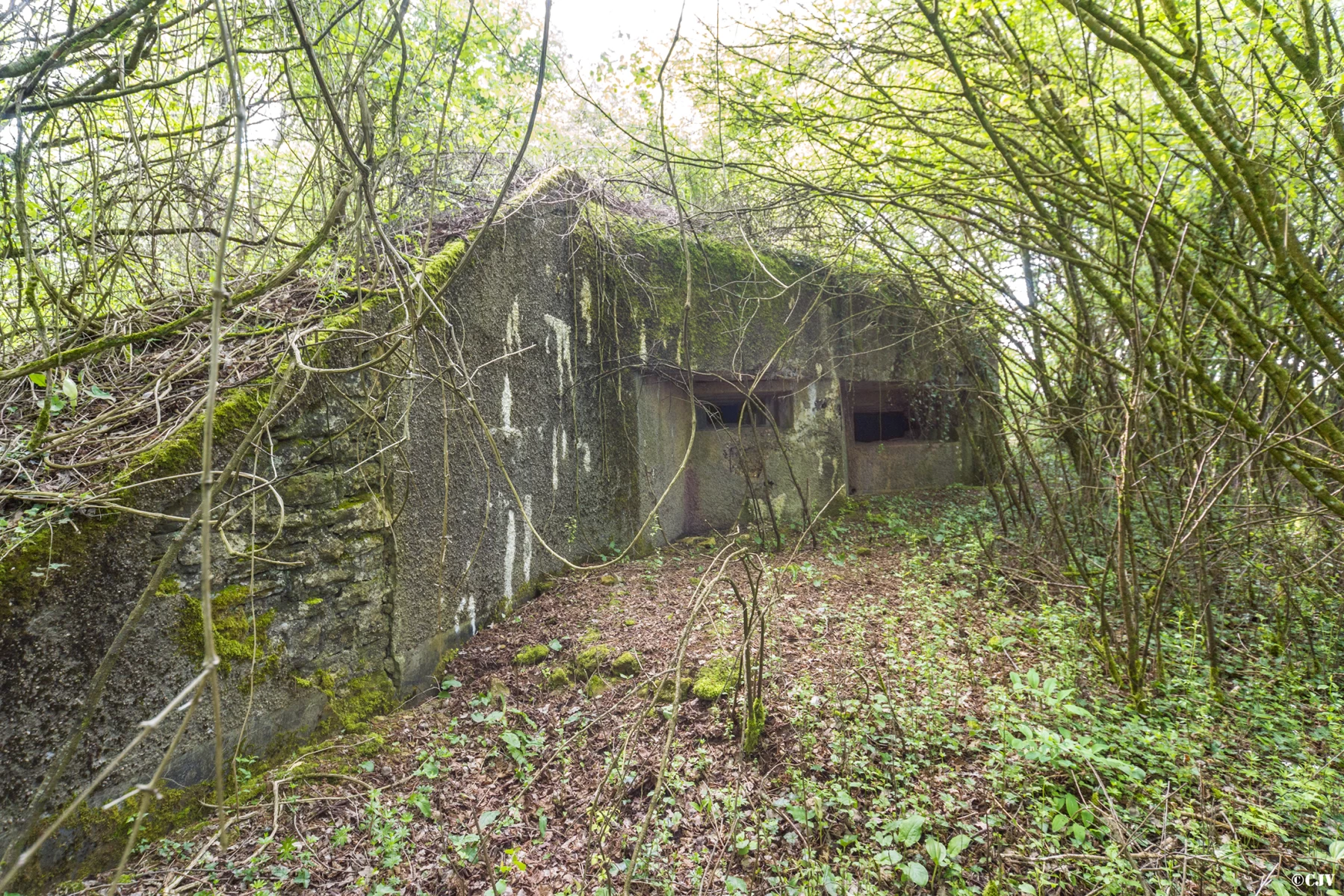 Ligne Maginot - 129 - L'EPINETTE - (Blockhaus pour canon) - 