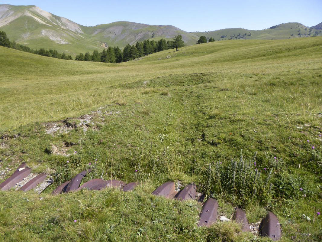 Ligne Maginot - MONT LONGON - (Position d'artillerie préparée) - Tranchées couvertes