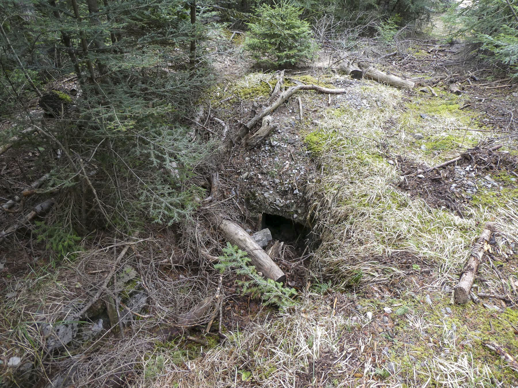 Ligne Maginot - BOIS NOIR 5 - (Blockhaus pour arme infanterie) - L'entrée