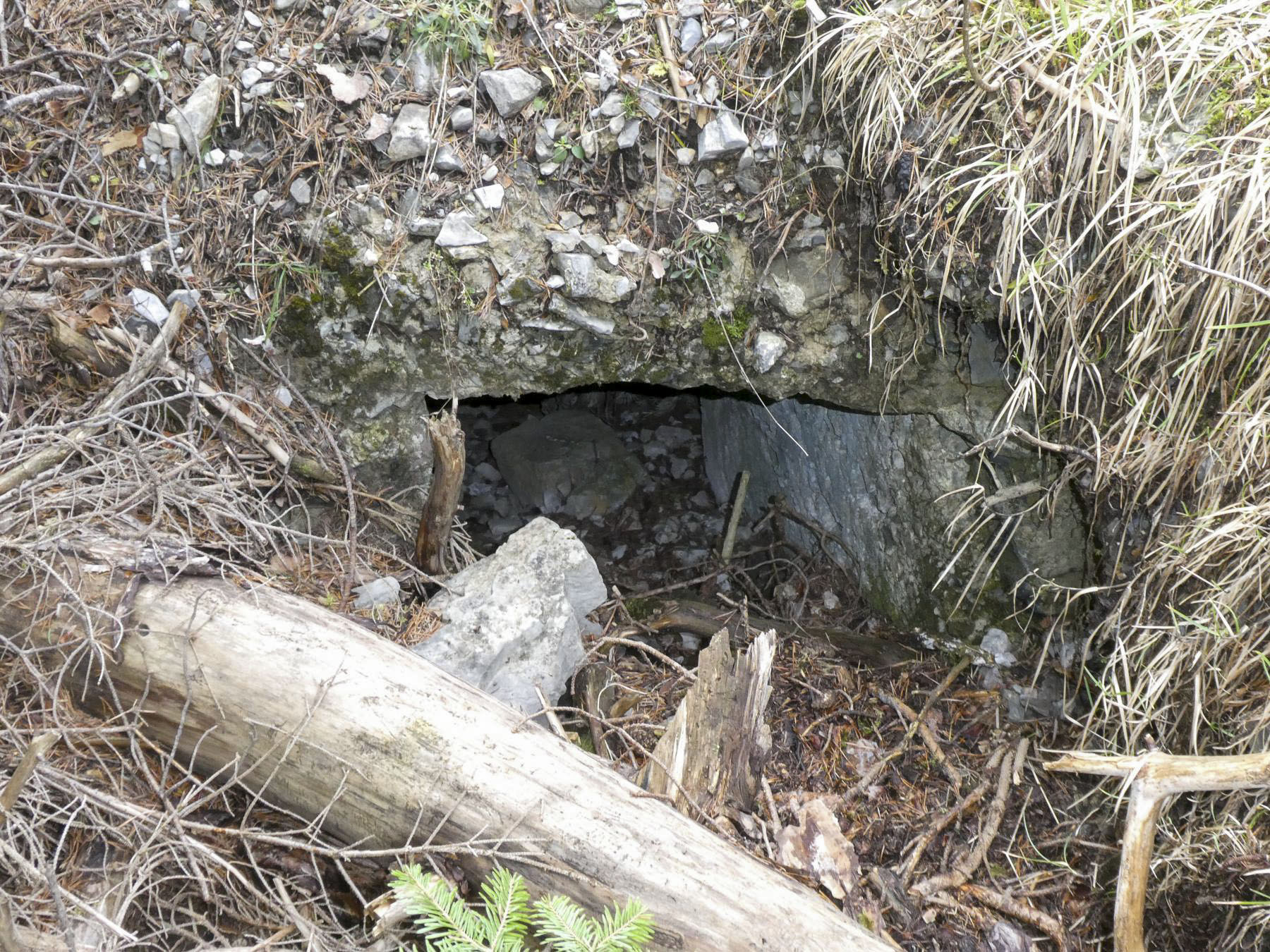 Ligne Maginot - BOIS NOIR 5 - (Blockhaus pour arme infanterie) - L'entrée